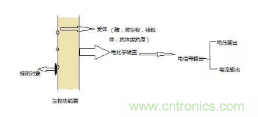 仿生傳感器的定義、原理、分類(lèi)及應(yīng)用