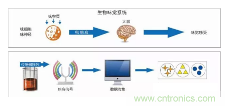 仿生傳感器的定義、原理、分類(lèi)及應(yīng)用